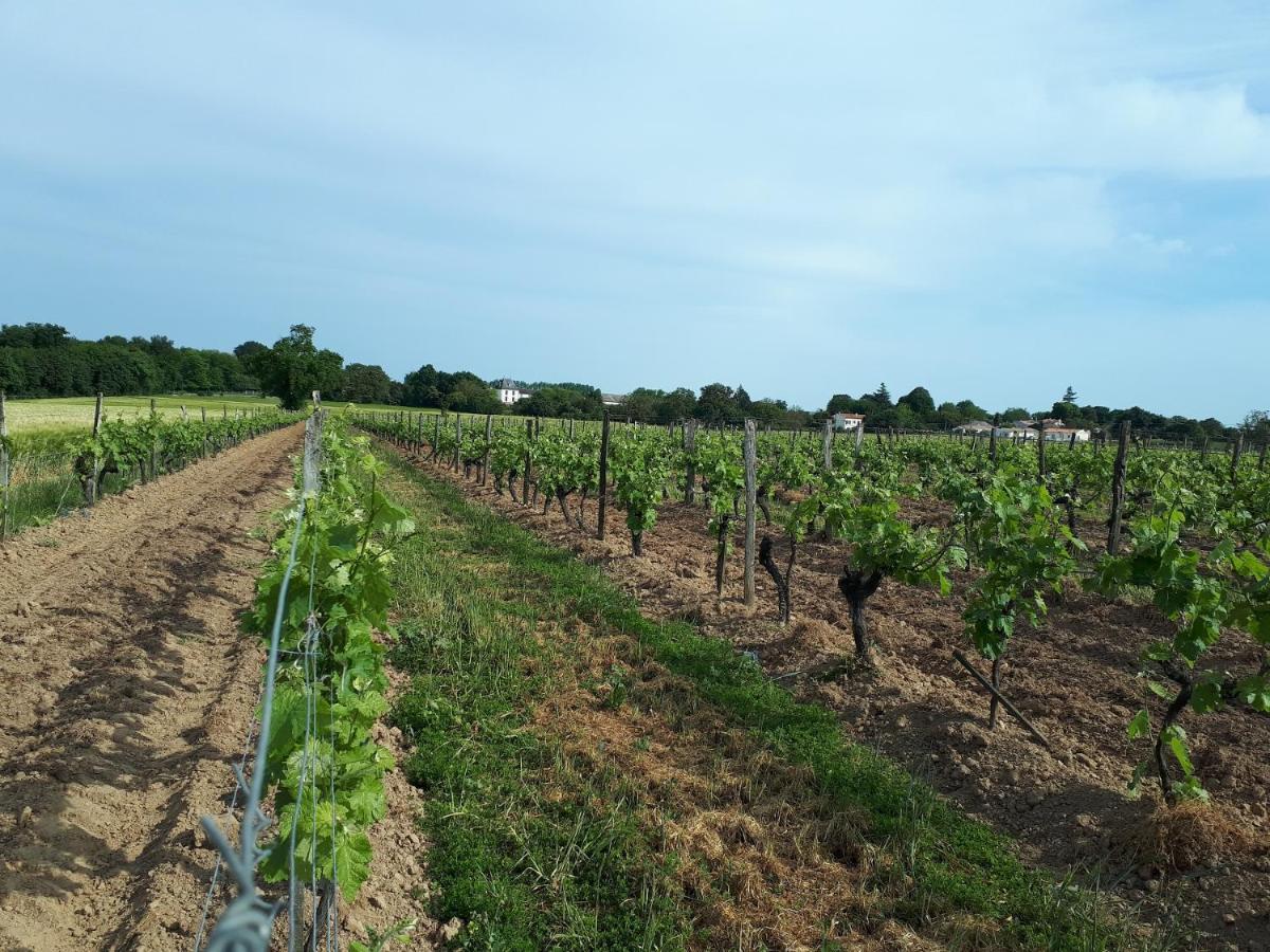 Escapade Entre Vignes Et Mer Corme-Royal Экстерьер фото